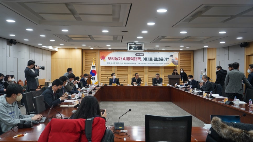 이대로오리 이미지