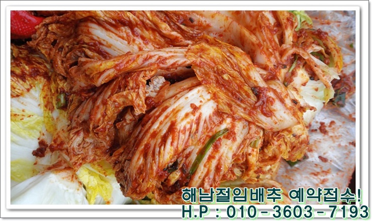 땅끝유통 절임배추 이미지