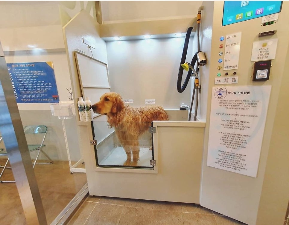 리치워시24 이미지