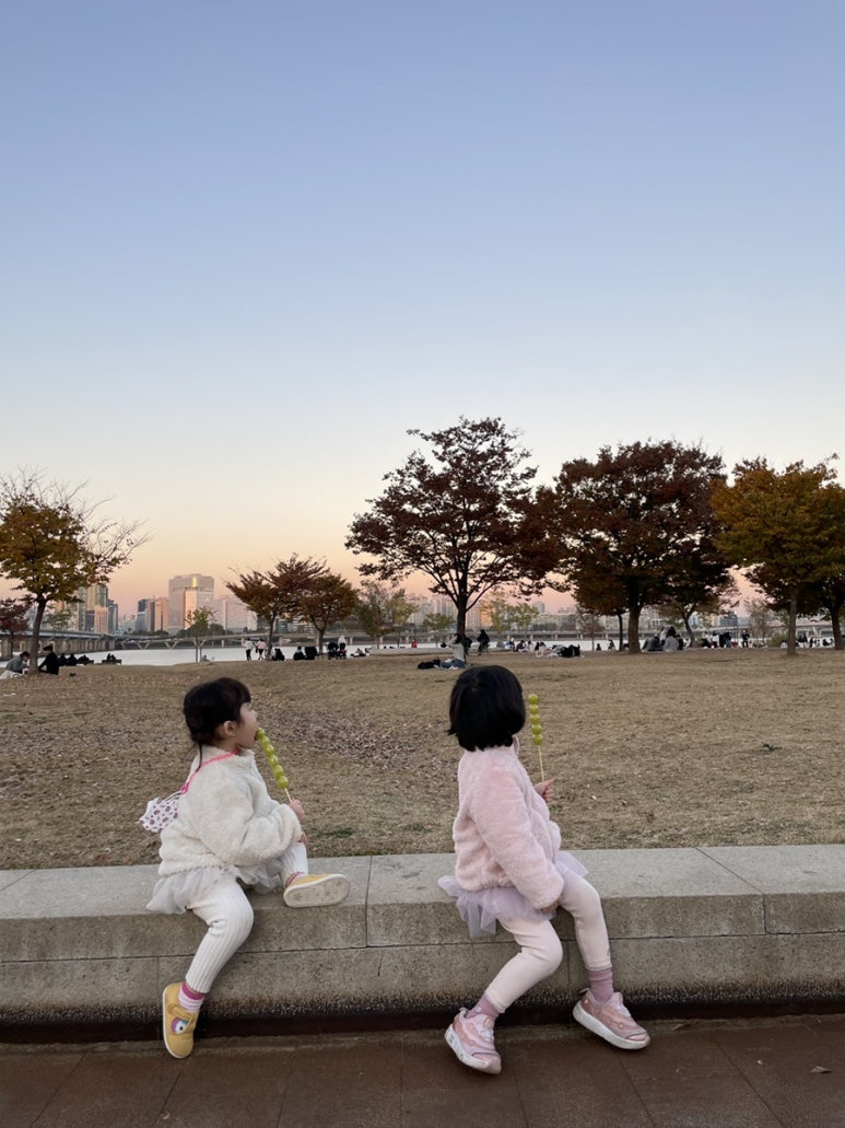 샤인노래공원 이미지