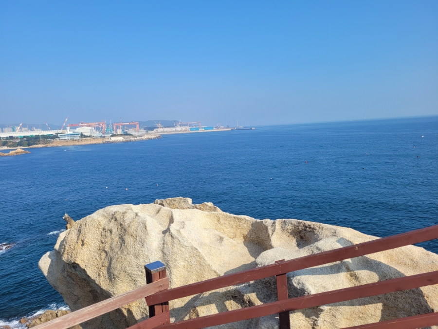 꿀짱한아름농원 이미지