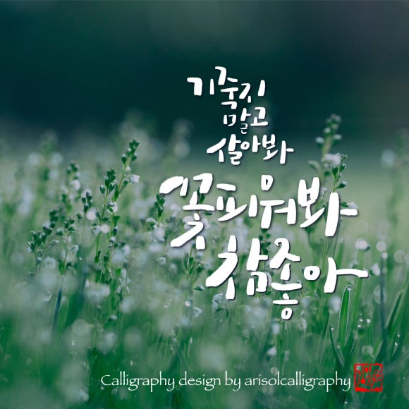글꽃캘리그라피 이미지