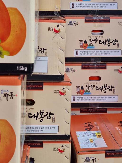 대봉인력 이미지