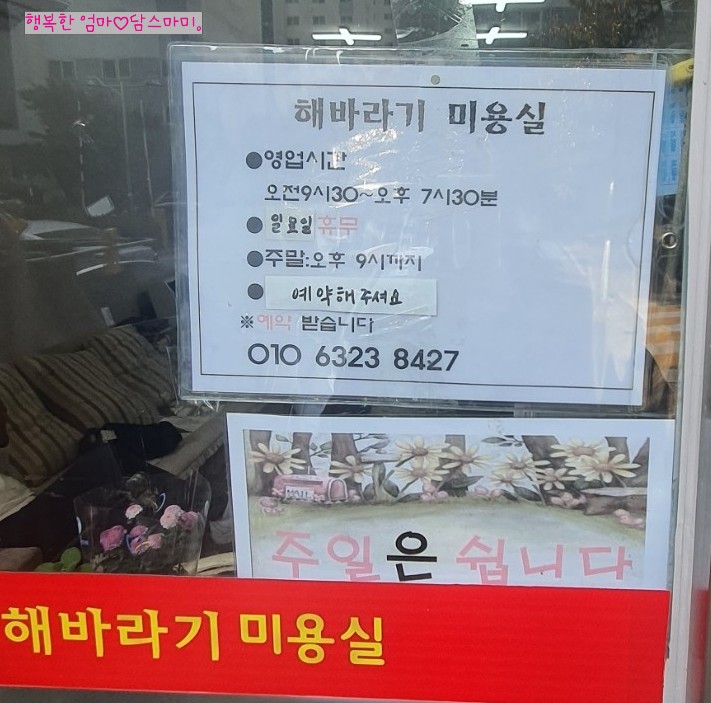 해바라기미용실 이미지