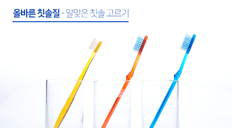 서울테라치과 이미지