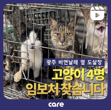 광주농장2 이미지