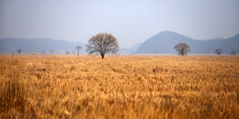 제일투자컨설팅 이미지