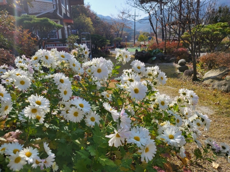 연담펜션 이미지