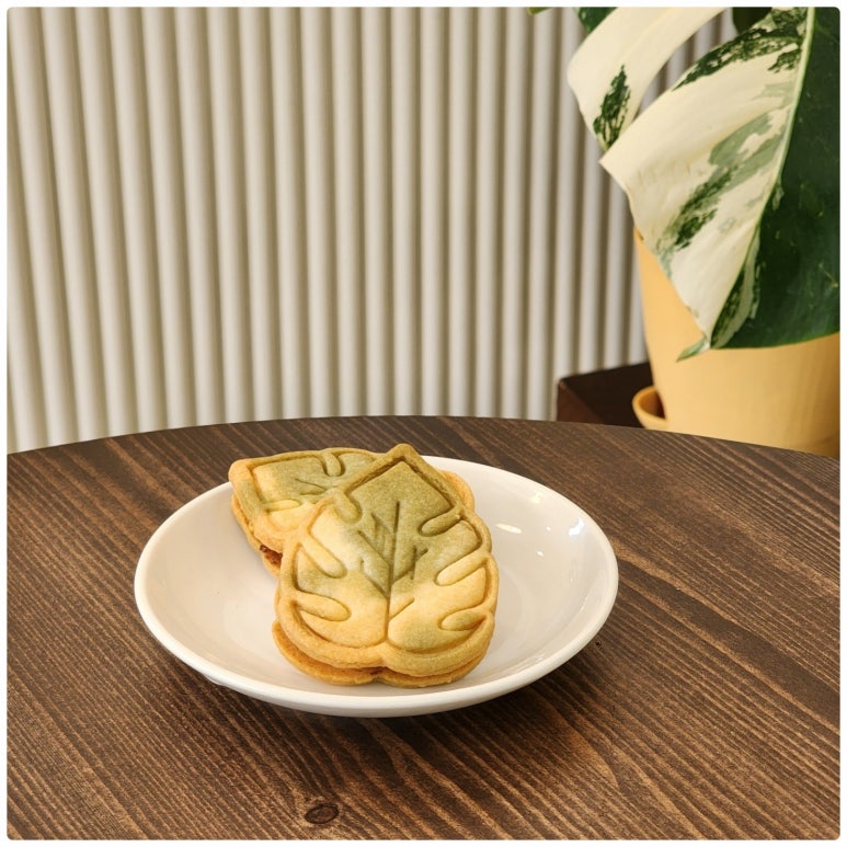 카페다담 이미지
