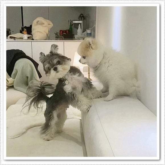 고속전기조명 이미지