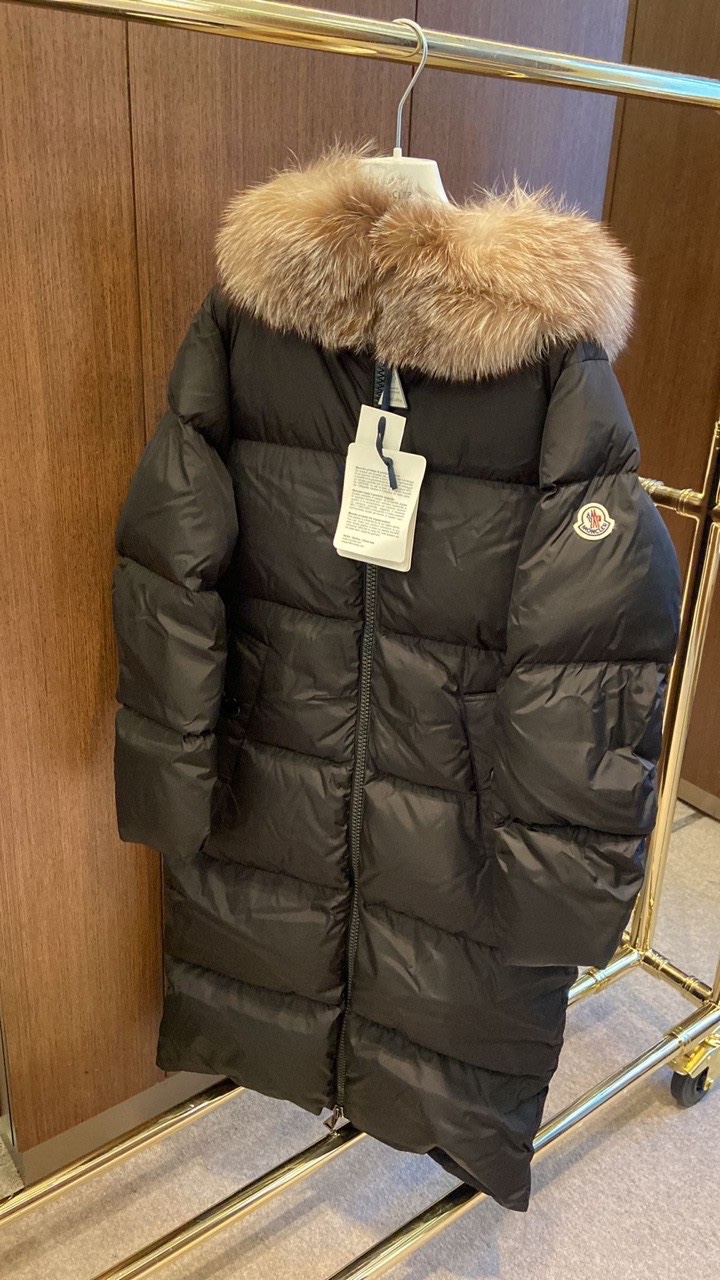 마로니에르 이미지