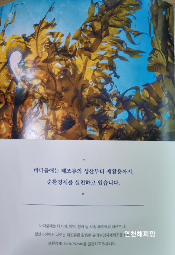 바다품애 이미지