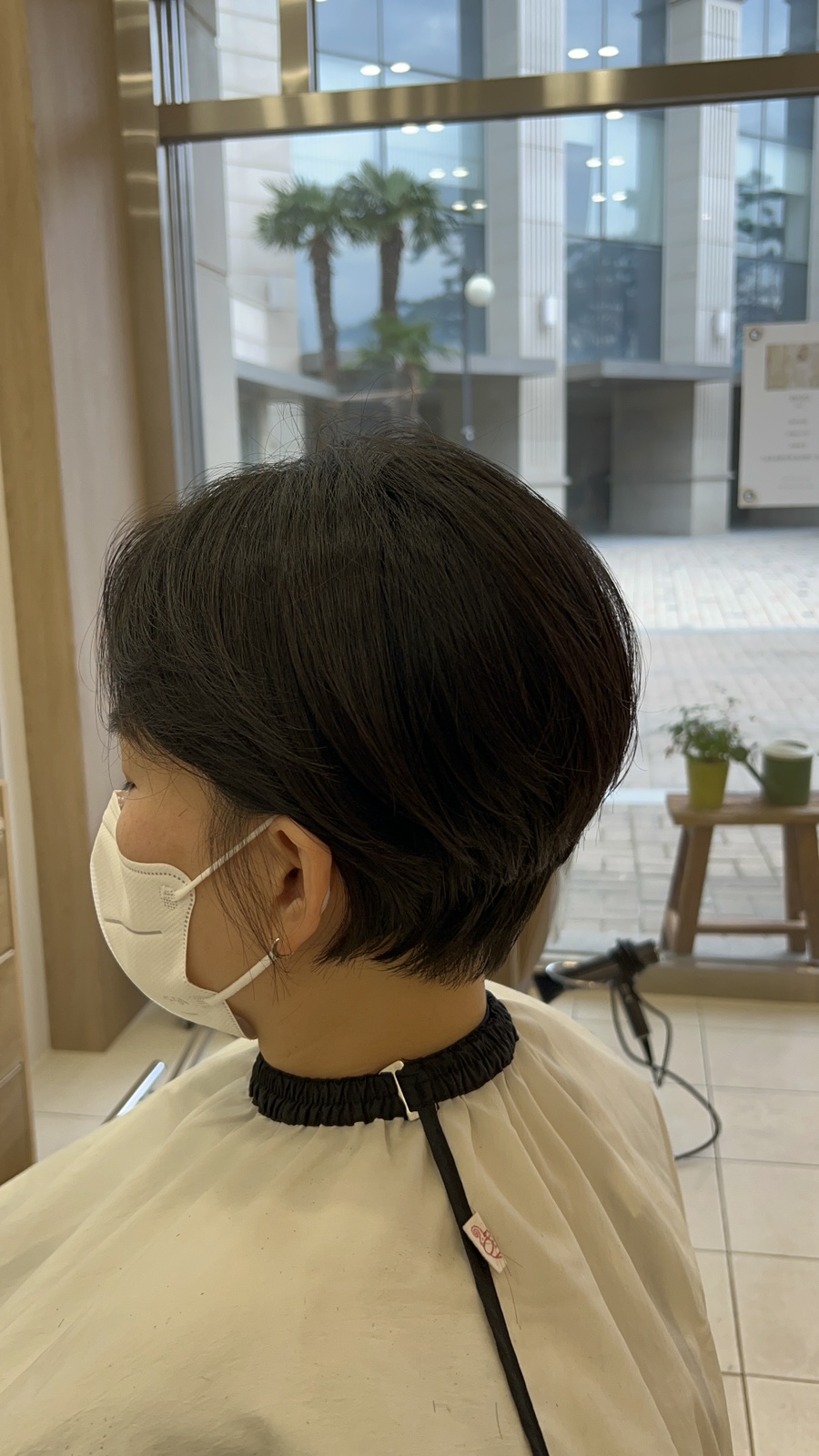지미크 이미지