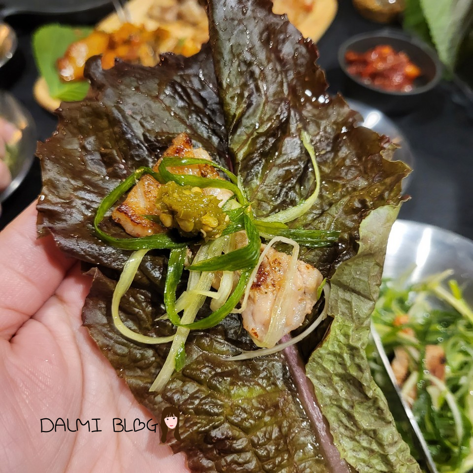 슈피아 이미지