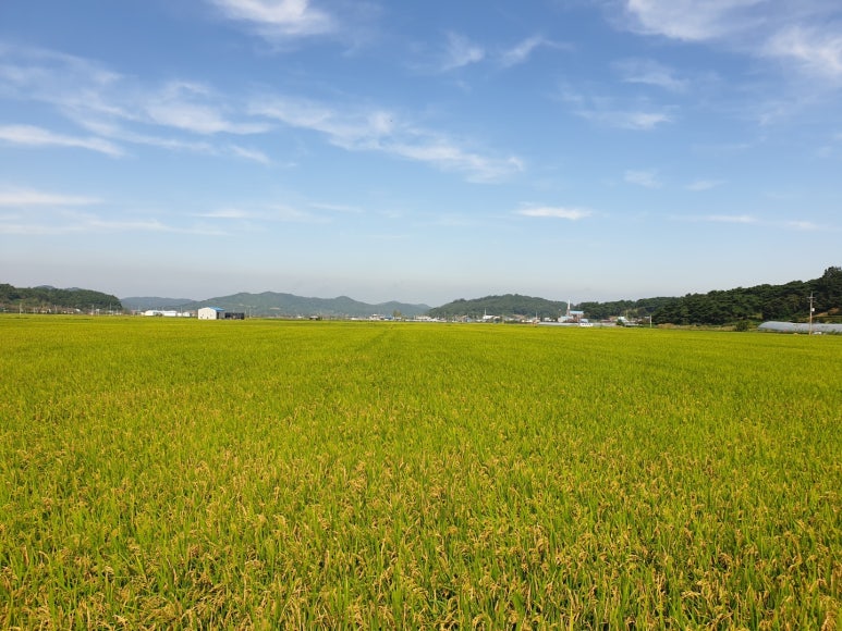 익산학교급식 이미지