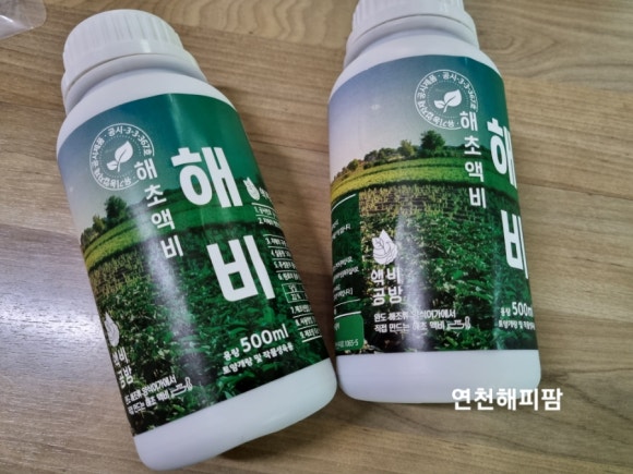 바다품애 이미지