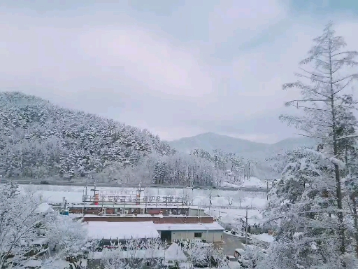 떼르떼 이미지
