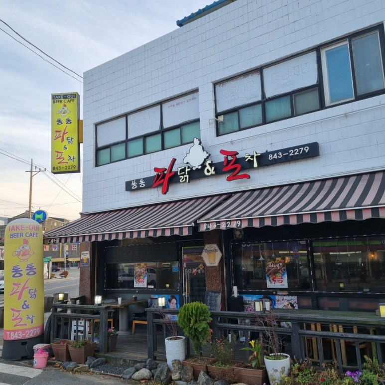 통통파닭 이미지