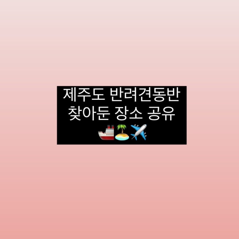 청춘사분연구소 이미지