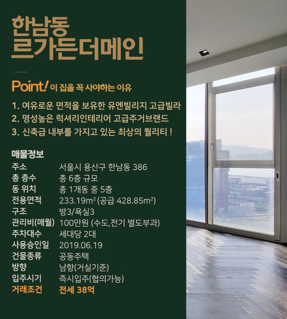 더메인 이미지