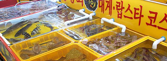 대왕상회 이미지