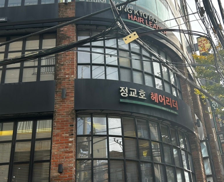 정교호헤어리더 이미지