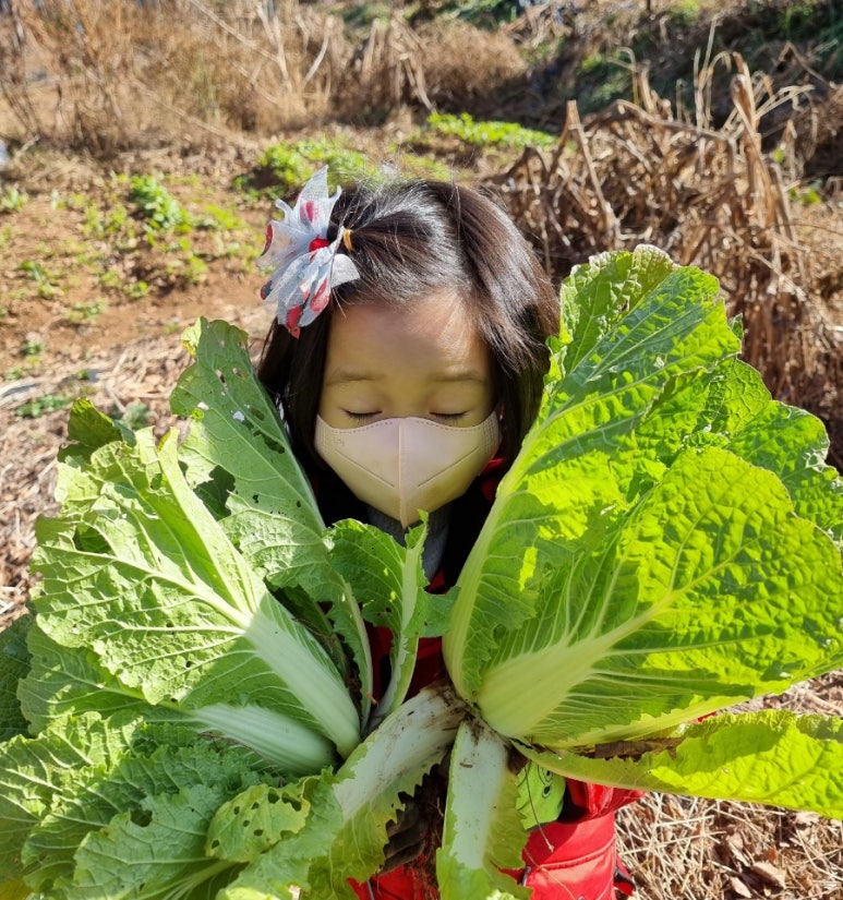 배다른남매 이미지