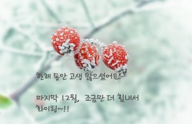 베스텍 이미지