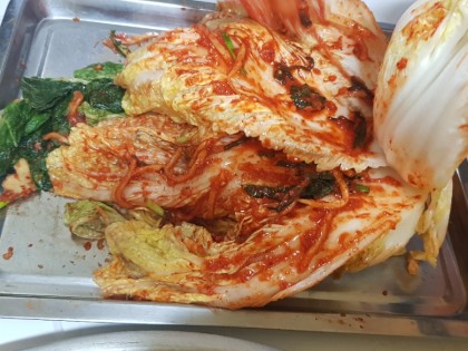 해남보쌈 이미지