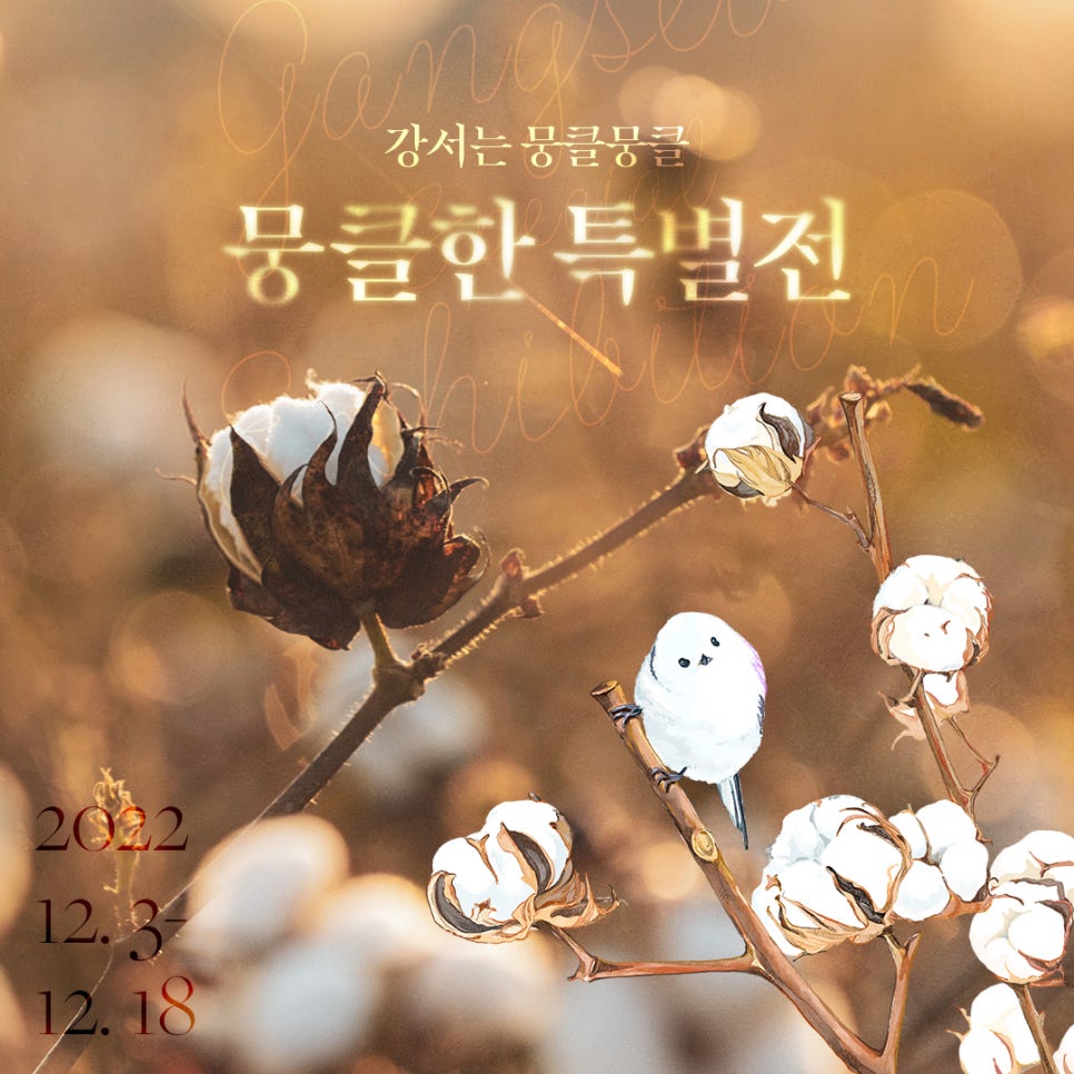 사회적협동조합피움 이미지