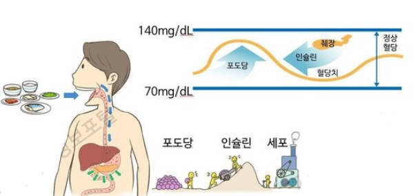 서해사랑 이미지