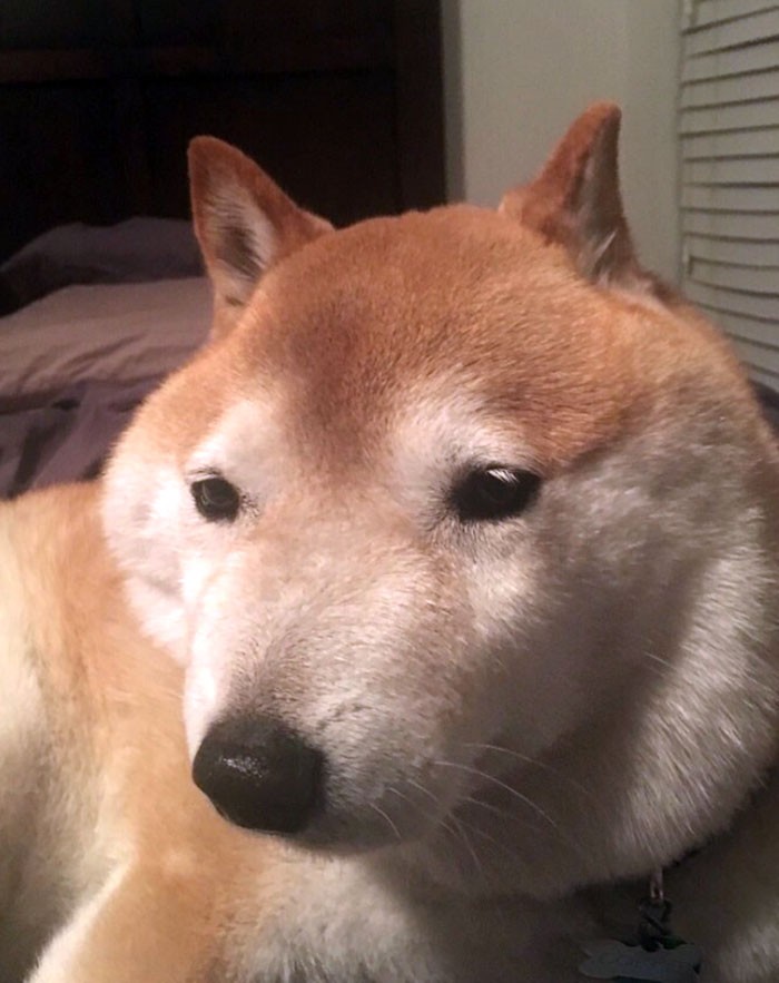 일상커피 이미지