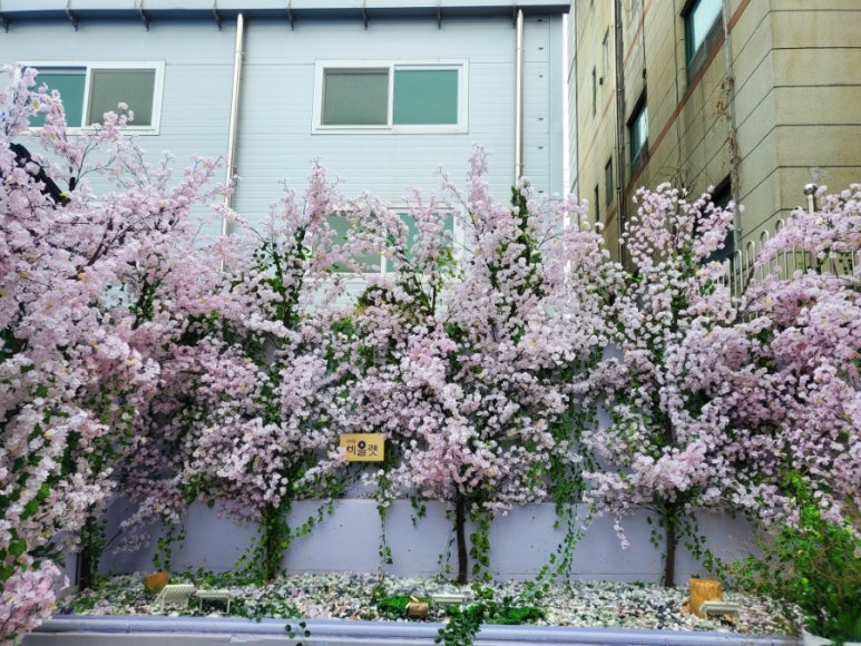 비올렛베이커리 이미지
