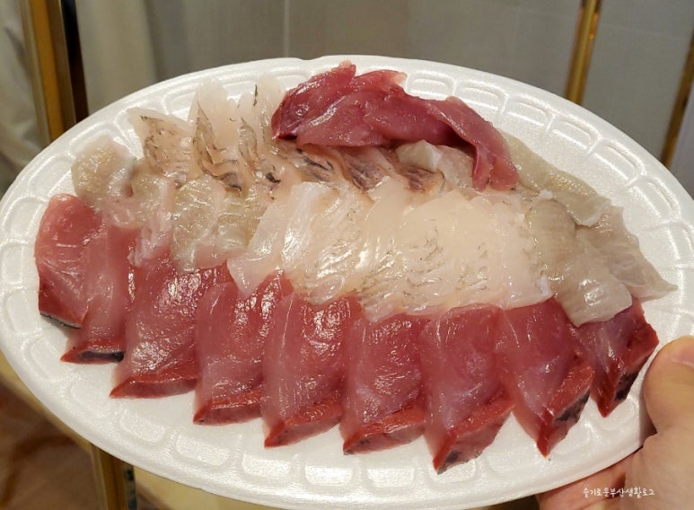 막썰어회도매센타 이미지