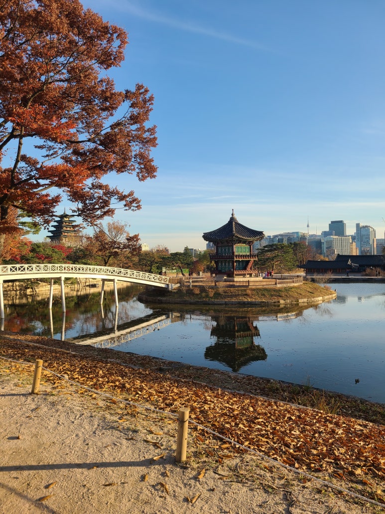 주간일기를 마치며, : 네이버 블로그