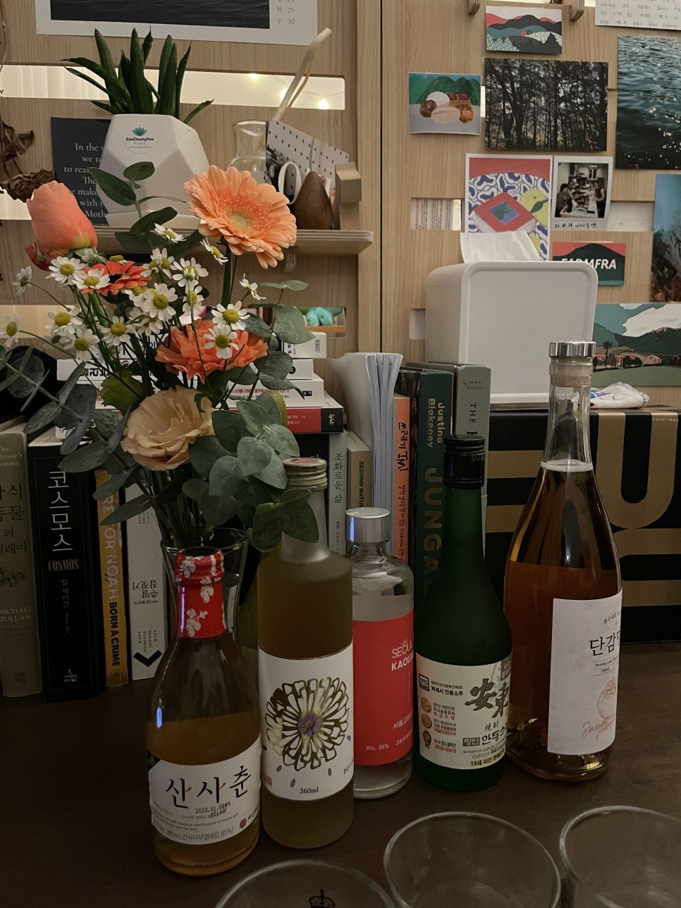 양싸롱 이미지