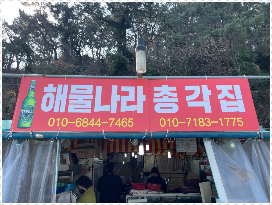 구이나라 이미지