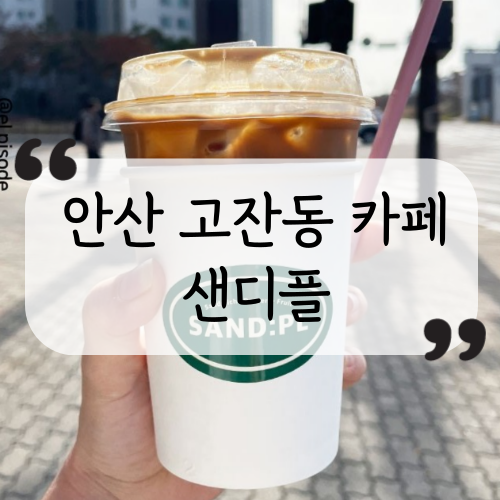 샌디플 이미지