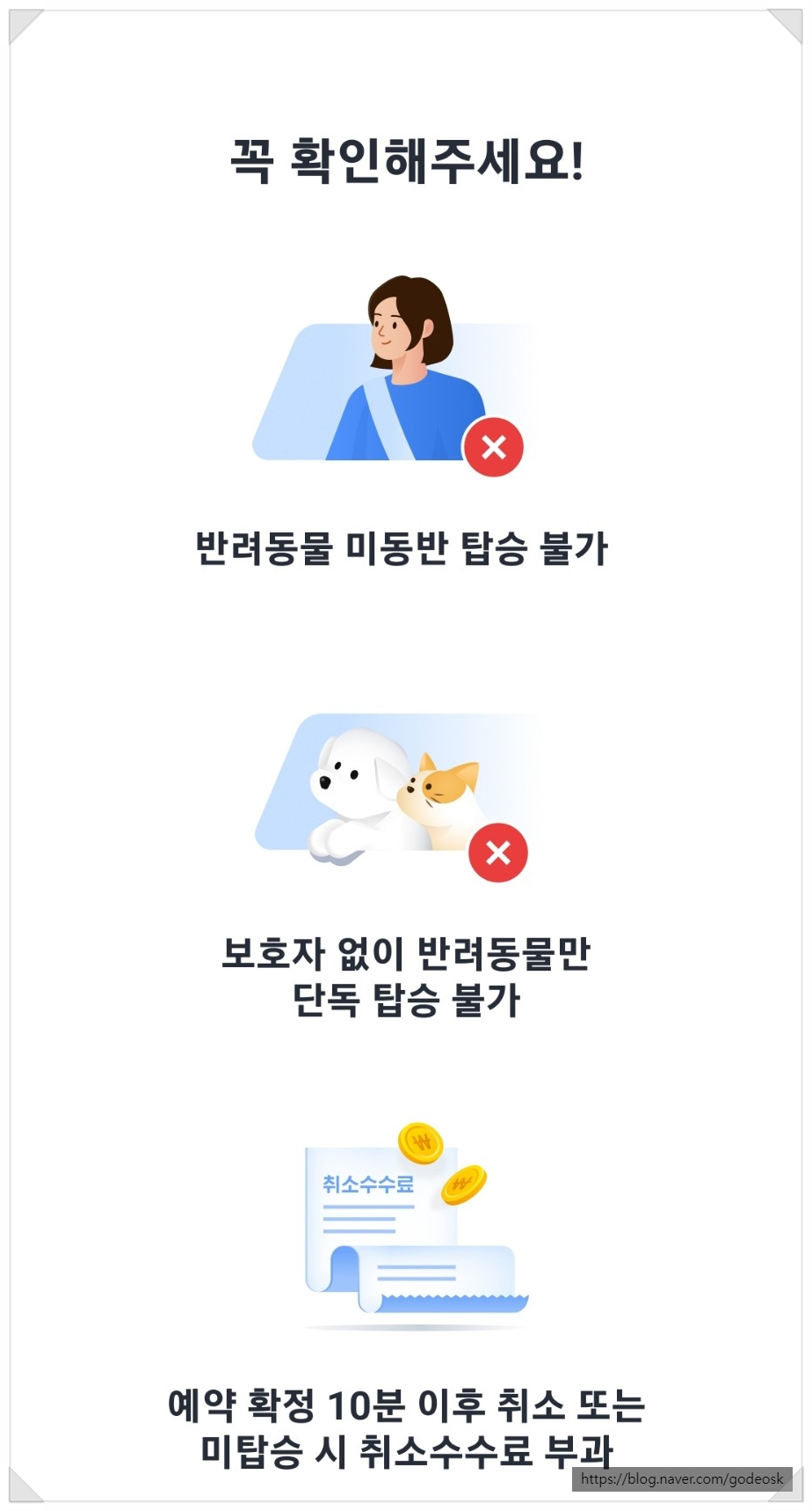 카카오T 펫 택시, 강아지 이동 고민 끝! 할인 쿠폰 활용법 — 사진 7