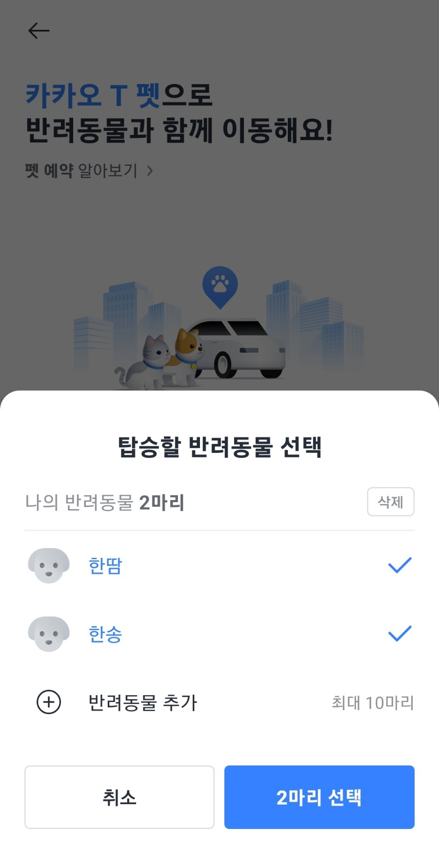카카오T 펫 택시, 강아지 이동 고민 끝! 할인 쿠폰 활용법 — 사진 5