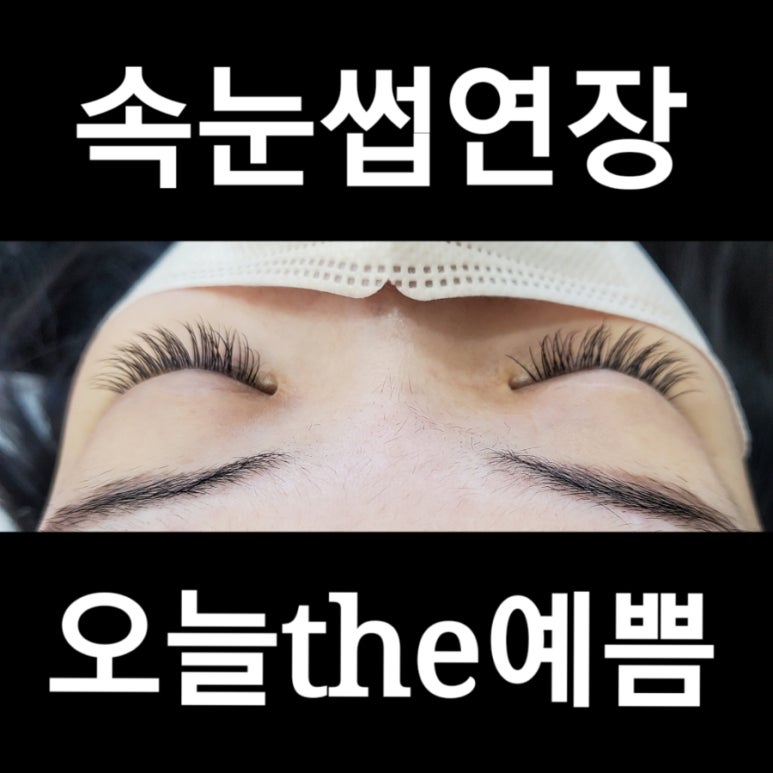 the 예뻐지러 이미지