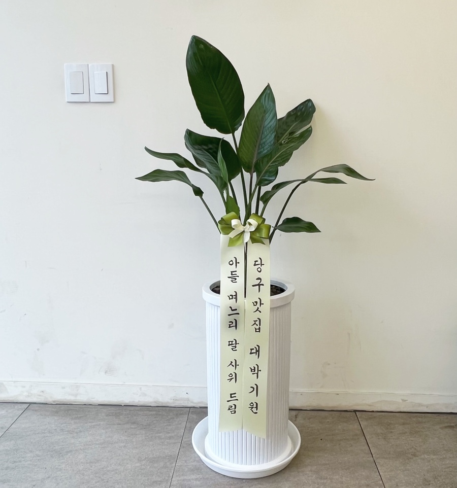 보람당구장 이미지