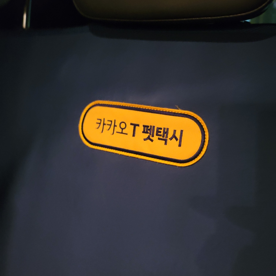 카카오T 펫 택시, 강아지 이동 고민 끝! 할인 쿠폰 활용법 — 사진 11