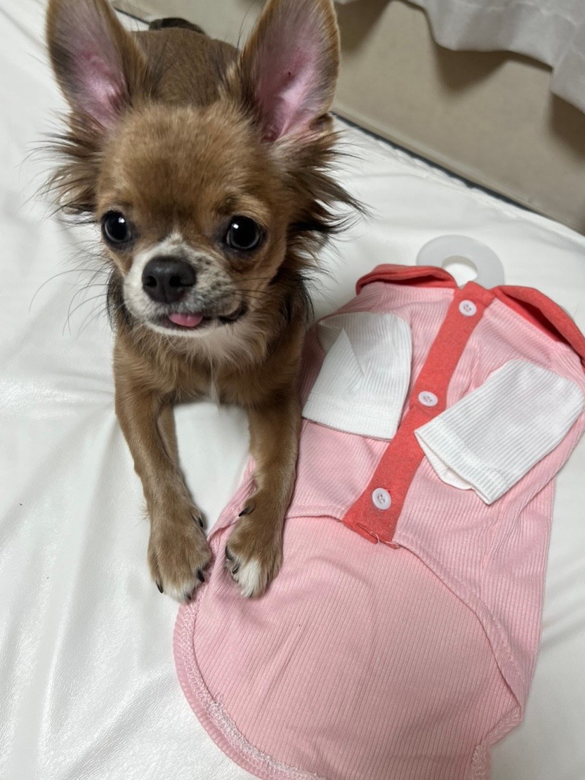 도굿스토리 이미지