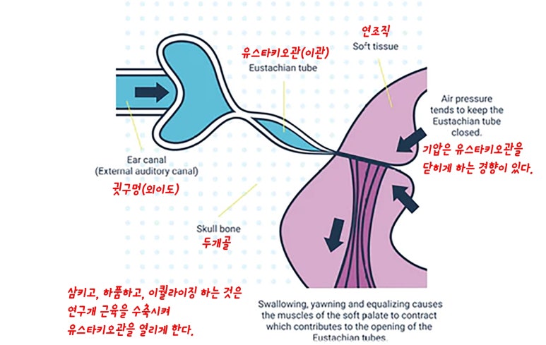 막고막창 이미지