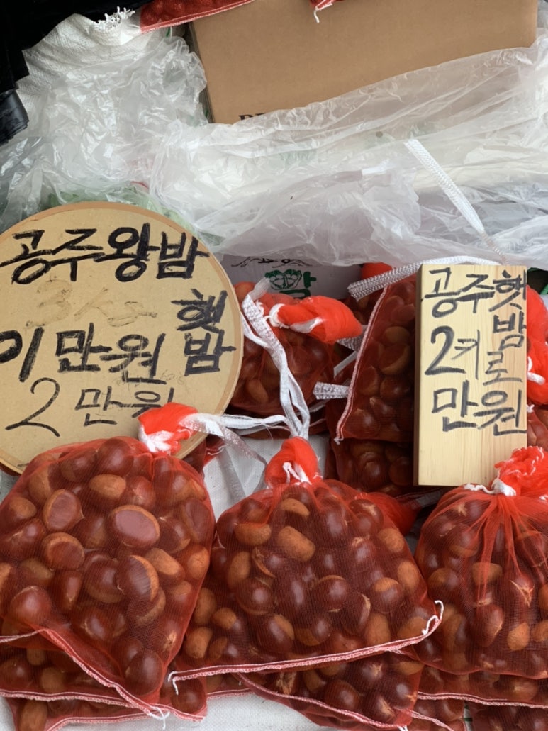 공주청과 이미지