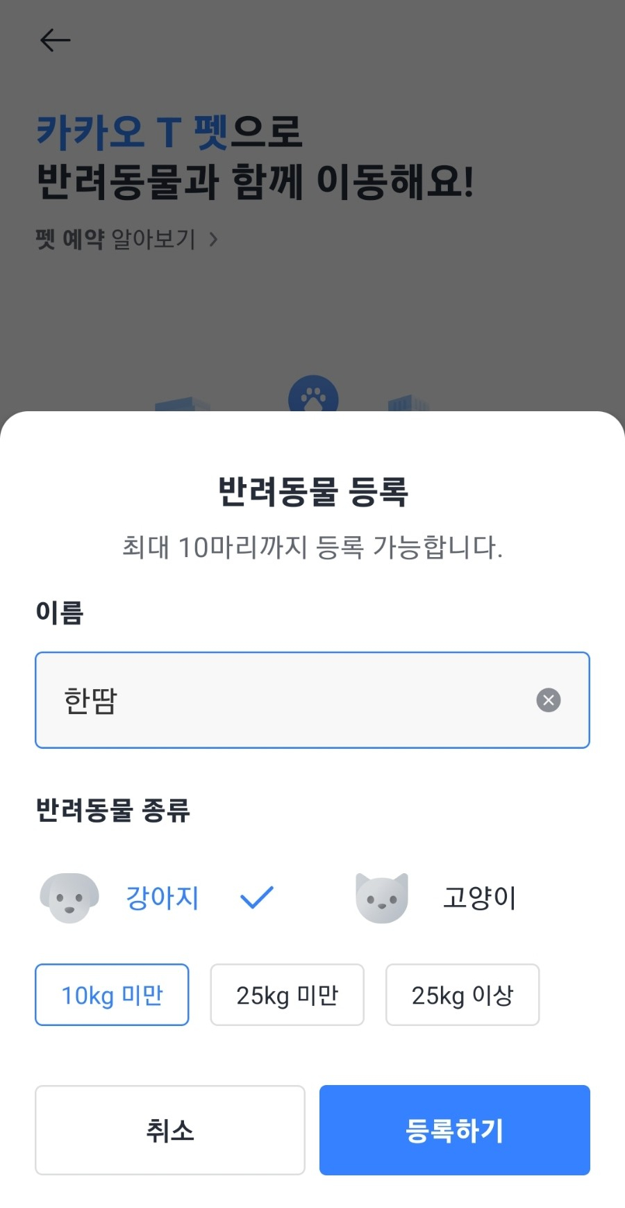 카카오T 펫 택시, 강아지 이동 고민 끝! 할인 쿠폰 활용법 — 사진 4