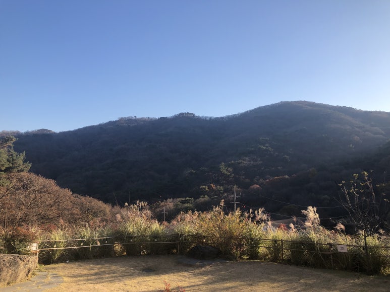 몬스터카페 이미지