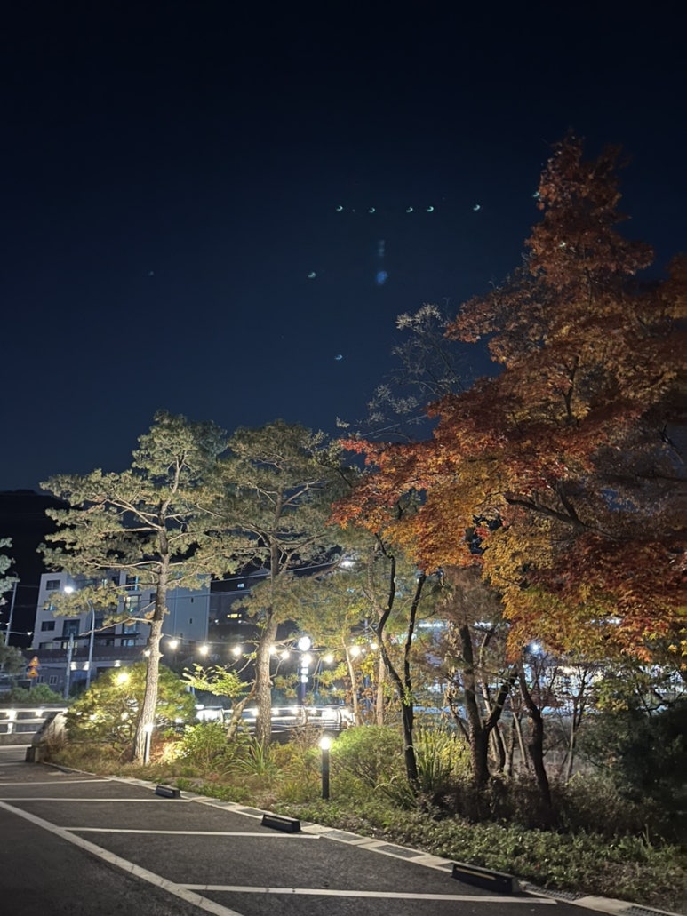 송운한우 이미지