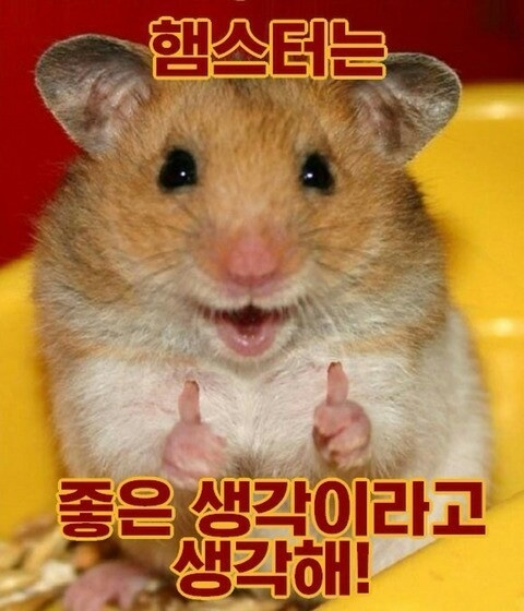 마키노차야 이미지